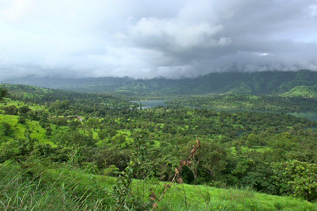 Image of Koyna Wildlife Sanctuary